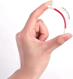 Bellive Tattoo Lipstick Red - Lipstick Dames - Tiktok - Lippenstift Wattenstaafje 20 Stuks - Lipstick Set - Waterproof Lipstick - Lippenstift Langhoudend - Long Lasting Lip Gloss - Multicolor -Mode Cosmetica Lipmake-Upwinkel 1114x1200 2