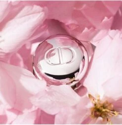 Merkloos Dior Addict Lip Maximizer Lipgloss - 012 Rosewood - Lipgloss - 6 Ml - 24 Uur Zichtbaar Effect -Deluxe - Gewild - Snel Uitverkocht - Rituals - Beste Getest Uit De Consumentenbond - Let Op: Op = Op -Mode Cosmetica Lipmake-Upwinkel 1175x1200 2