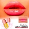 Natuurlijke Lip Plumper | Plumping | Vollere Lippen In 2 Min | Lip Vergroter| Lip Maximizer | Gember Extract & Vitamine E -Mode Cosmetica Lipmake-Upwinkel 1200x1172