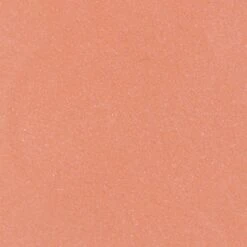 Blèzi® Lip Fix 10 Blissful Pink - Lipstick - Lippenstift Langhoudend - Roze Perzik -Mode Cosmetica Lipmake-Upwinkel 1200x1200 241