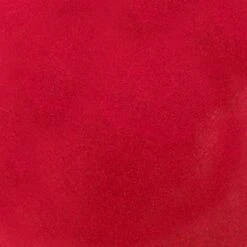 Blèzi® Lip Fix 95 Gracious Red - Lipstick - Lippenstift Langhoudend - Rood Bruin -Mode Cosmetica Lipmake-Upwinkel 1200x1200 376