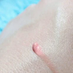 Lippenbalsem Natural Pink Biodermal Sun Lipbalm Lipbalsem SPF25 - Tube 12 Ml - -Mode Cosmetica Lipmake-Upwinkel 1200x1200 738