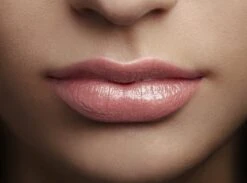 L'Oréal Paris Color Riche Shine Lippenstift - 658 Topless -Mode Cosmetica Lipmake-Upwinkel 1200x891 1